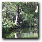 The creek next to our cabin. You could almost imagine people bathing here in the 1800s. The water was crystal clear