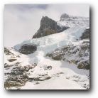 One of the many, many glaciers by Columbia Icefield