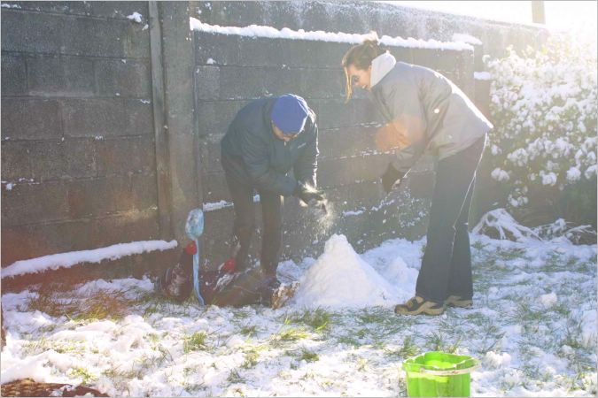 Not a very clear picture but I recall Kyle simply falling backwards with the shovel still in his hand. It didn't hurt as he was so well padded and he couldn't stop laughing. He just lay there laughing until I picked him up. 