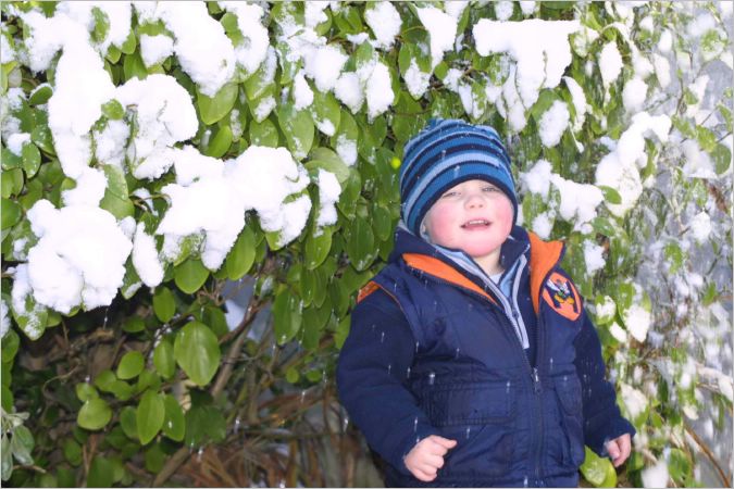 Kyle looked very Christmassy under the bushes
