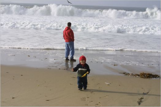 Quick Daddy, run!