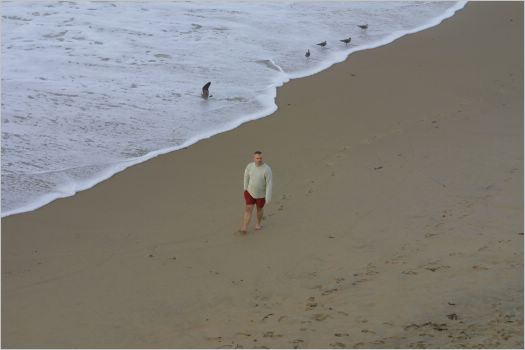Stuart ambles on the beach in the cold, November sand!