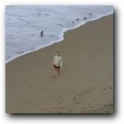 Stuart ambles on the beach in the cold, November sand!