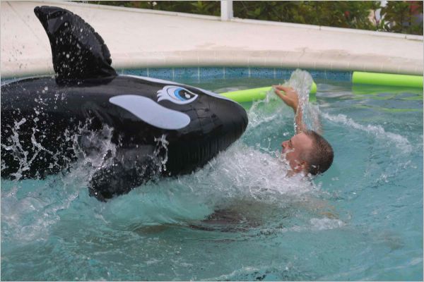 Orca attacks!