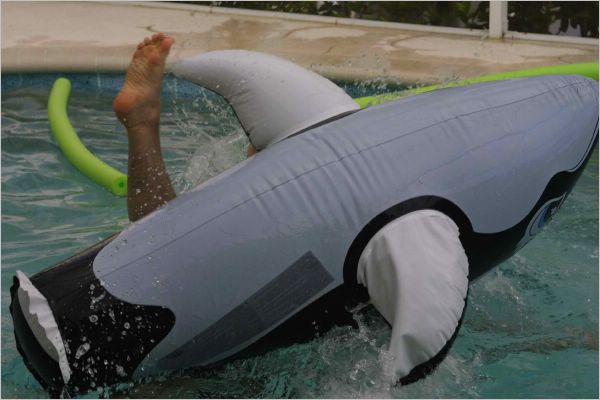Orca wasn't having it!
