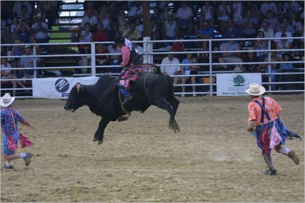 See how high the bull jumps...