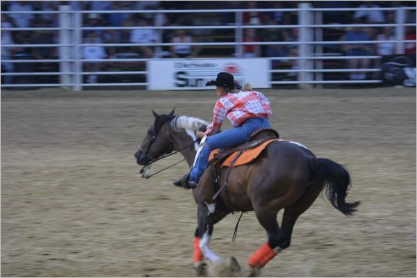 You can't imagine the speed of these horses!