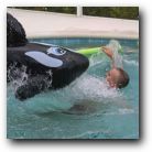 Orca attacks!