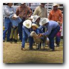 It took three to hold the sheep steady and a brave kid to take on the challenge!