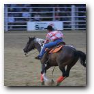 You can't imagine the speed of these horses!