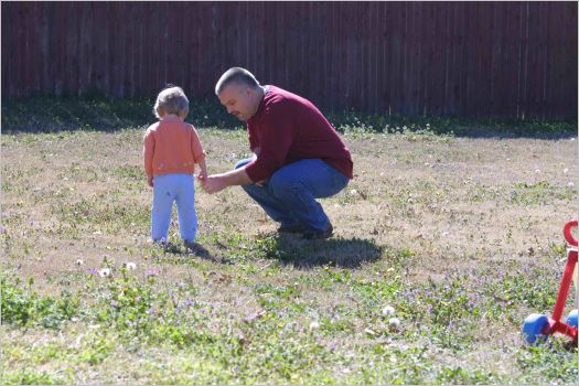 Stuart and Sian talk daisies!