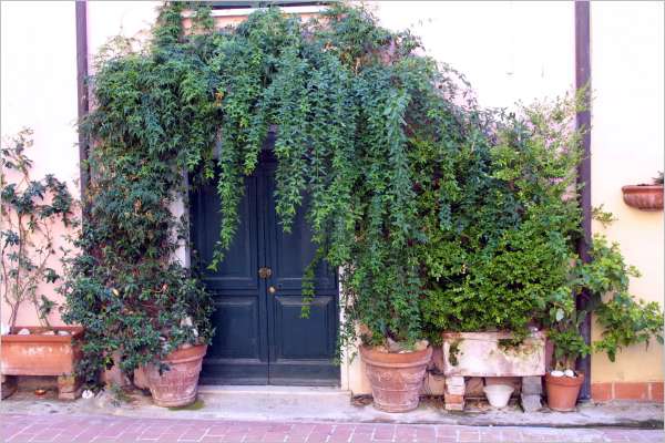 A pretty door in Montemarcello. 