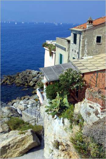 See sailing boats in the distance on the Gulf of La Spezia. What a view. 