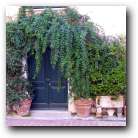 A pretty door in Montemarcello. 