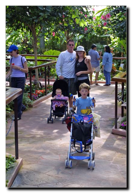The Coleman's out for the day. There's Lala to the left in very early pregnancy and feeling nauseous most of the time!