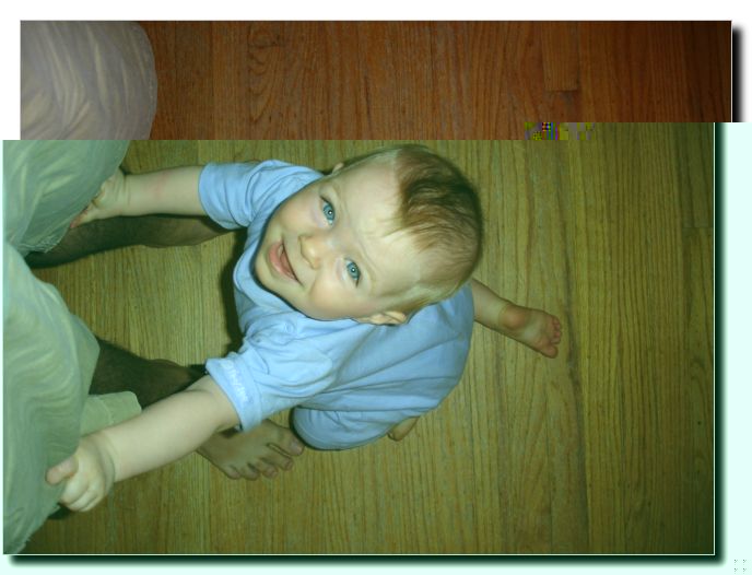 Rylie crawled up to Buddy's legs trying to get him to lift her up