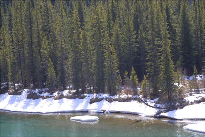 Banff National Park - the water was crytal green!