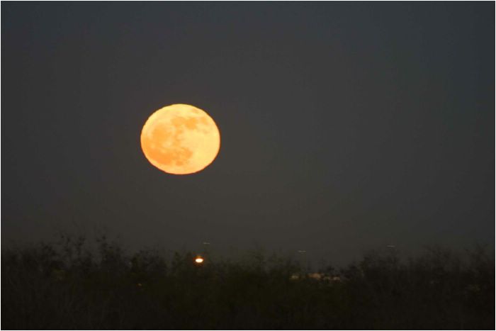 View of the moon from Dallas, Texas