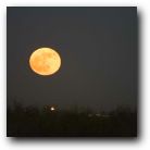 View of the moon from Dallas, Texas