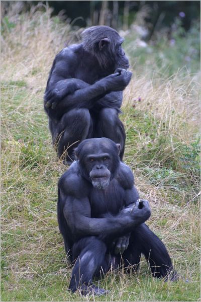 I'm never speaking to you again. Good, a bit of peace and quiet then!