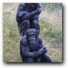 I'm never speaking to you again. Good, a bit of peace and quiet then!