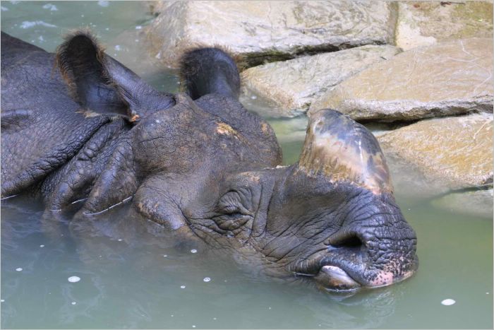 A nice soak in my Kiwi and lime bath water is just the trick. Awwwww!