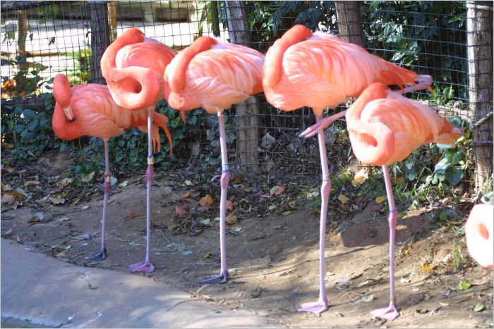 Not plastic, real!