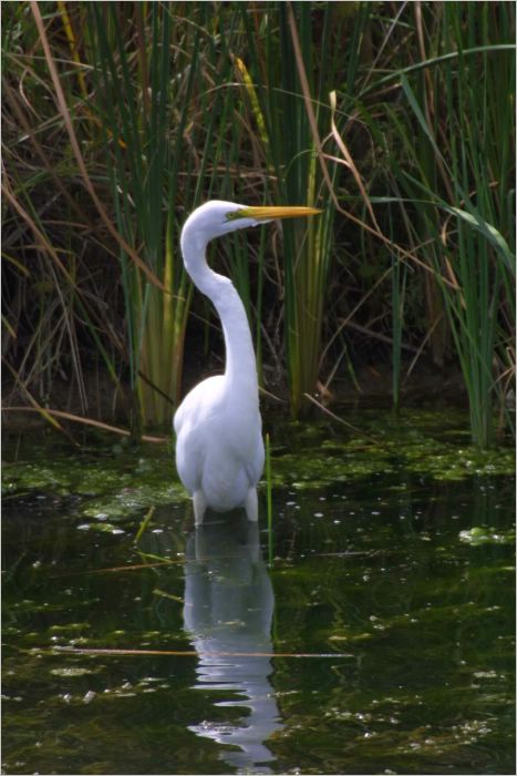 What a beak!